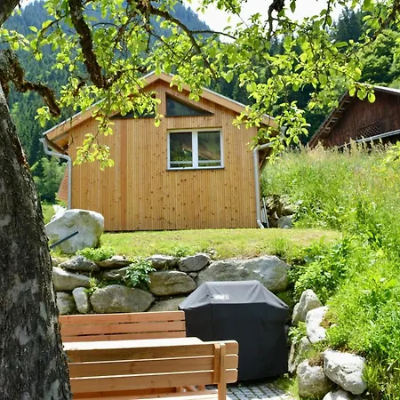 Haus Galgenul Apartment Sankt Gallenkirch